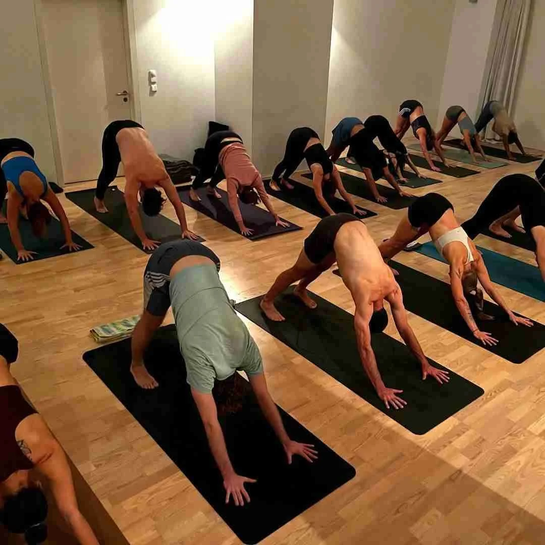 MYSORE STYLE　写真集　アシュタンガヨガ　AshtangaYoga MYSORE STYLE 写真集 アシュタンガヨガ AshtangaYoga